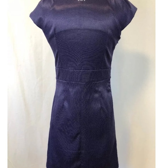D& G  International purple Dress Medium Size - Picture 6 of 7